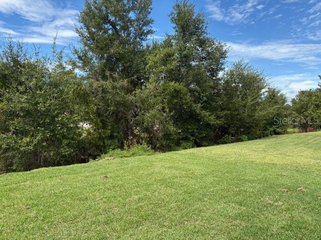 7128 SW 179th Court Road Dunnellon FL 34432 OM710418 image7