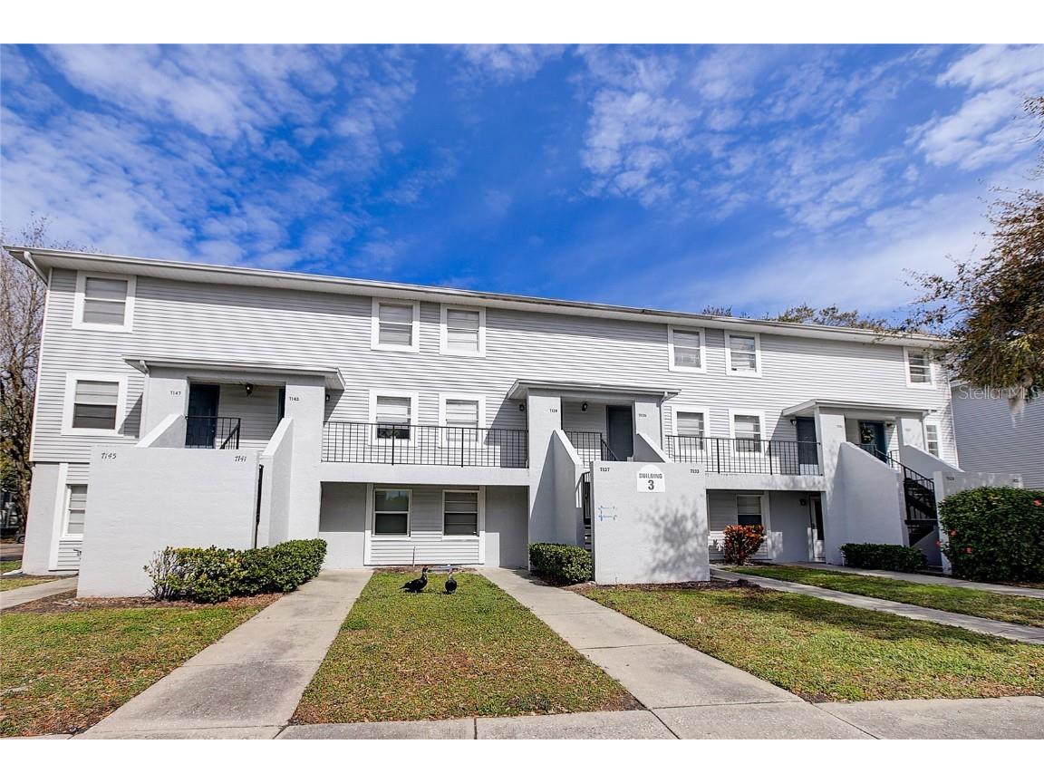7129 E Bank Drive #7129 Tampa FL 33617 T3504666 image1