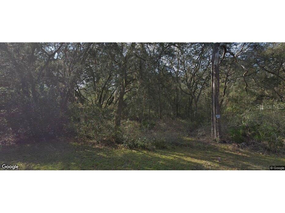 7129 Ricker Avenue Webster FL 33597 W7875790 image1