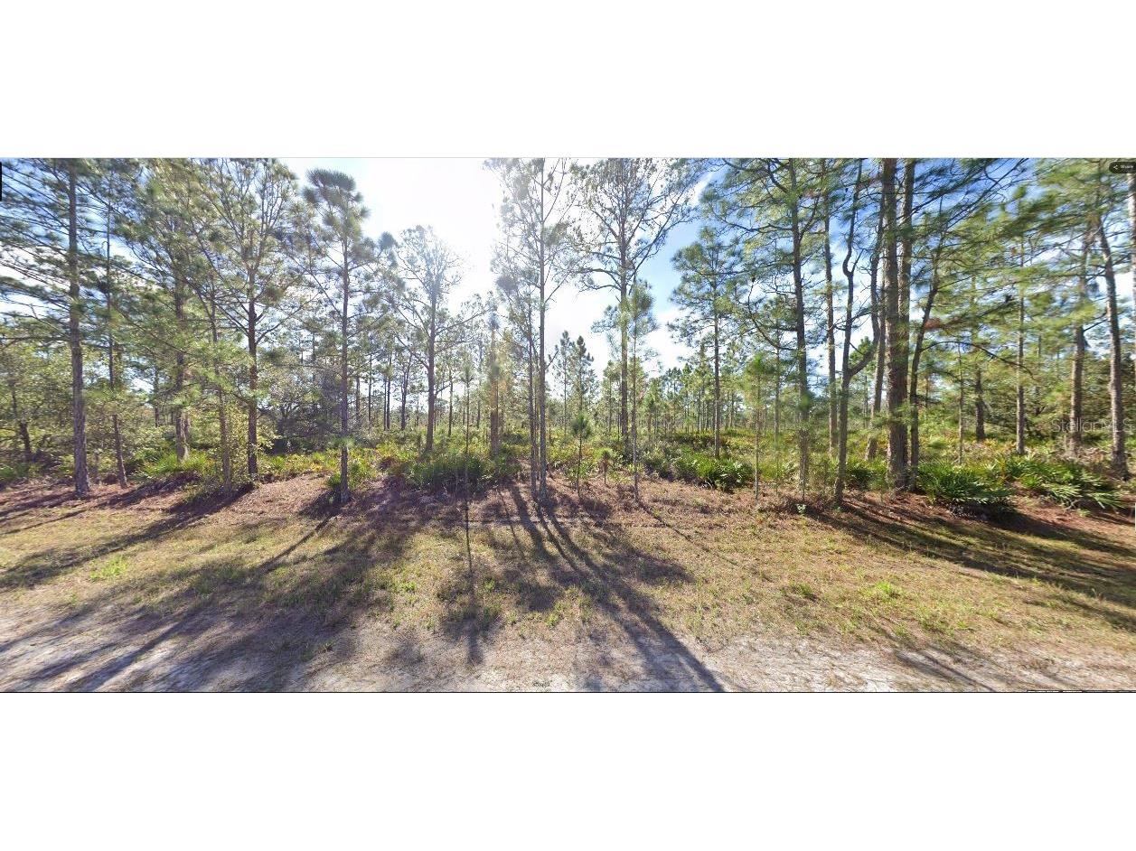 713 Alba Drive Indian Lake Estates FL 33855 O6312421 image4