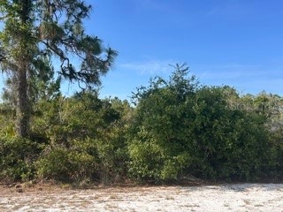 713 (BLK 123 LOTS 15&16) Camellia Drive Indian Lake Estates FL 33855 TB8502540 image1