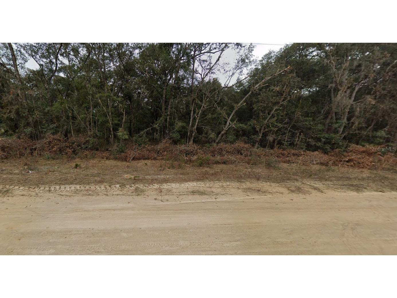 713 Brett Avenue Interlachen FL 32148 FC312539 image1