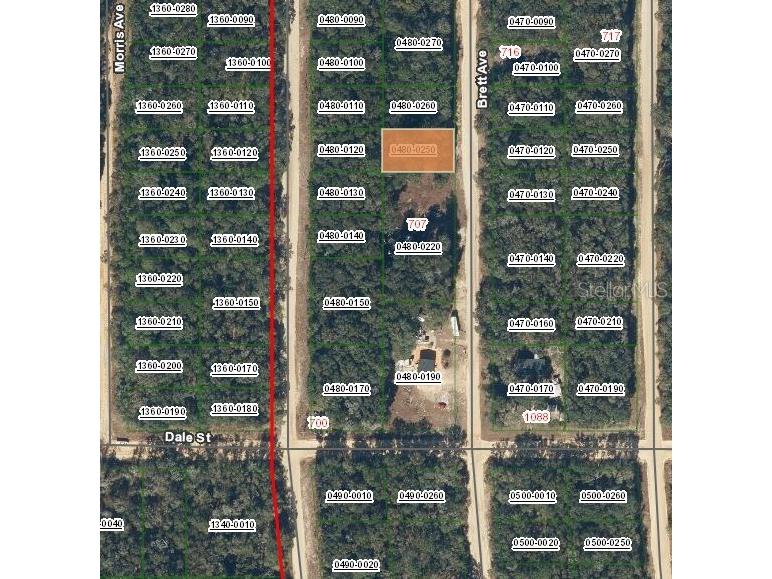 713 Brett Avenue Interlachen FL 32148 FC312539 image4