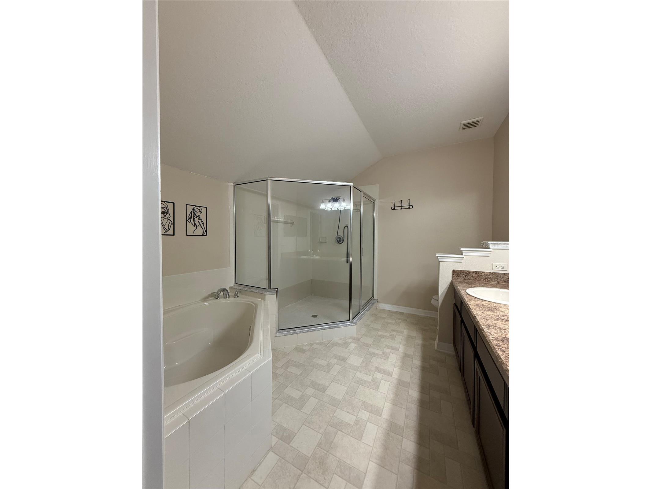 713 Bridgeford Crossing Boulevard Davenport FL 33837 S5140764 image42