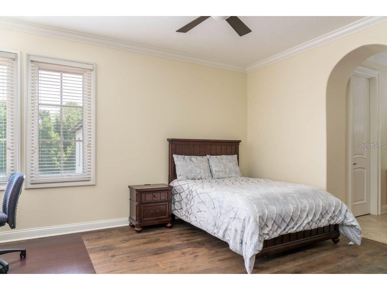 713 Eastlawn Drive Celebration FL 34747 O6402940 image36