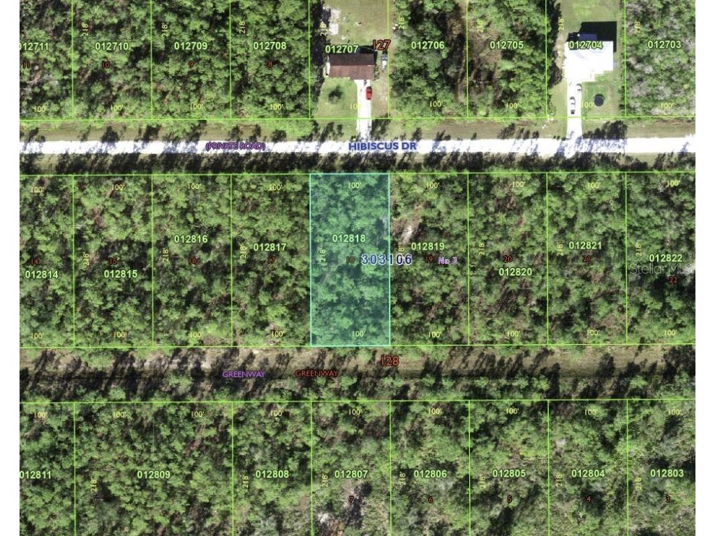 713 Hibiscus Drive Indian Lake Estates FL 33855 - LAKE WALK-IN-WATER TB8354173 image1