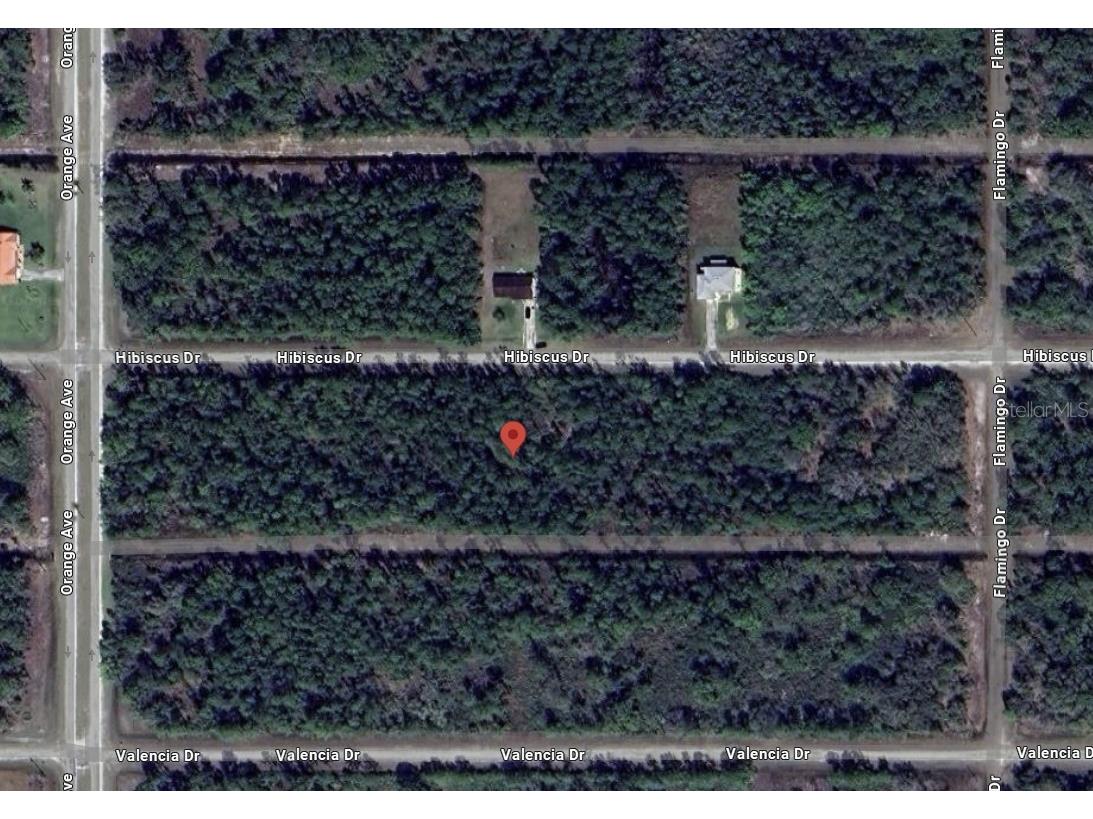 713 Hibiscus Drive Indian Lake Estates FL 33855 - LAKE WALK-IN-WATER TB8354173 image2