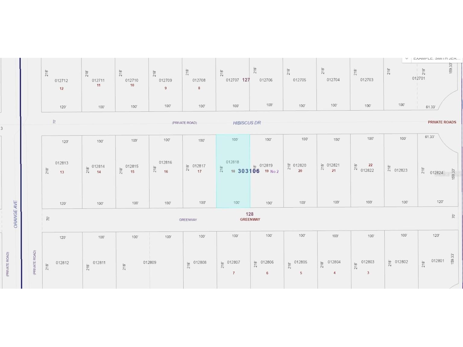 713 Hibiscus Drive Indian Lake Estates FL 33855 - LAKE WALK-IN-WATER TB8354173 image3