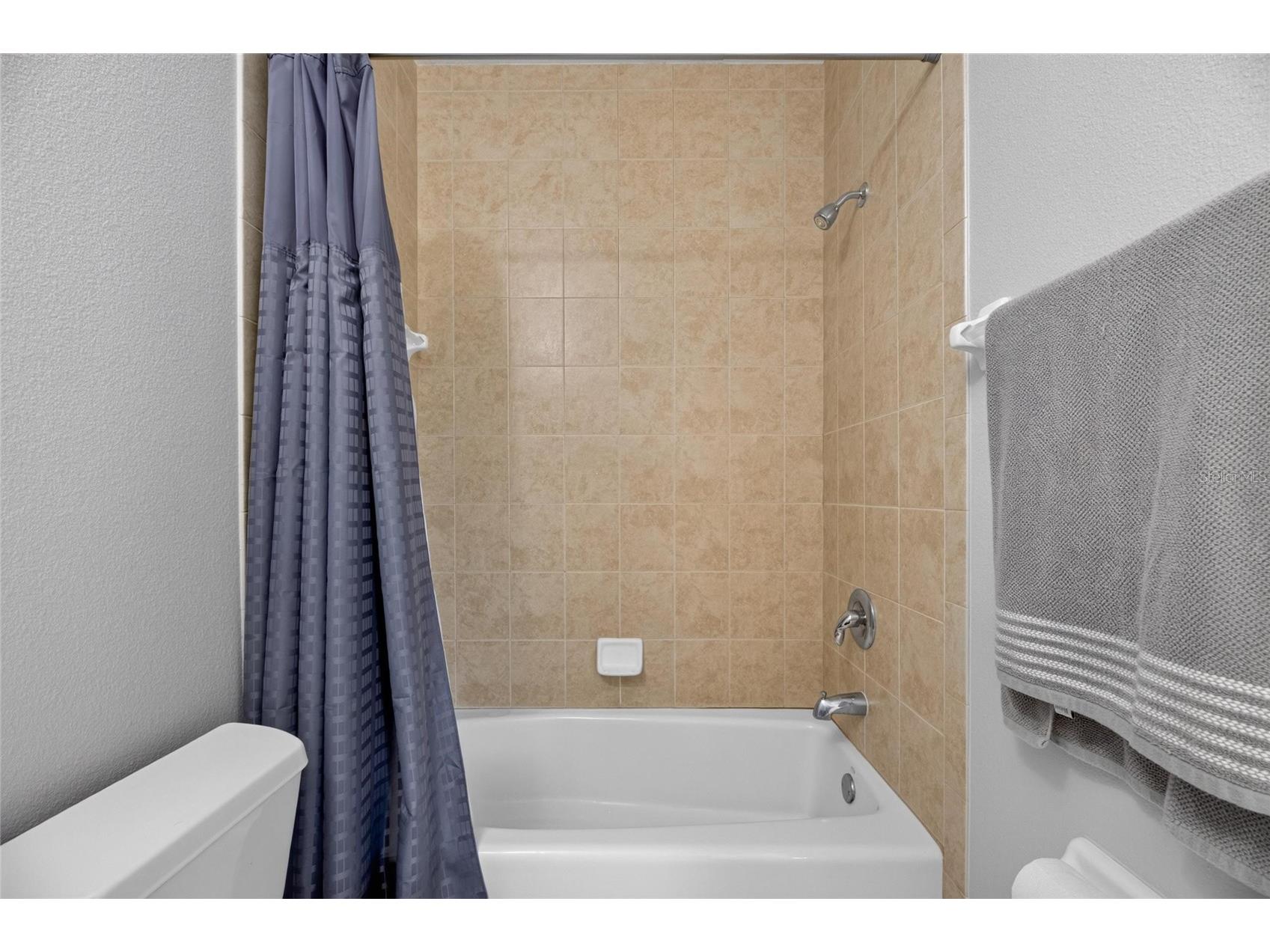 713 Islebay Drive Apollo Beach FL 33572 - BISCAYNE CANAL TB8523892 image60
