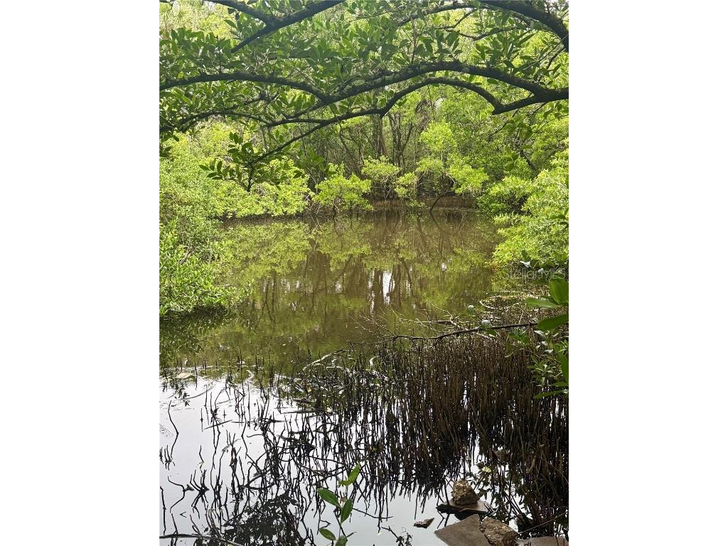 713 Laurel Bay Circle New Smyrna Beach FL 32169 - INDIAN RIVER LAGOON NS1086635 image6