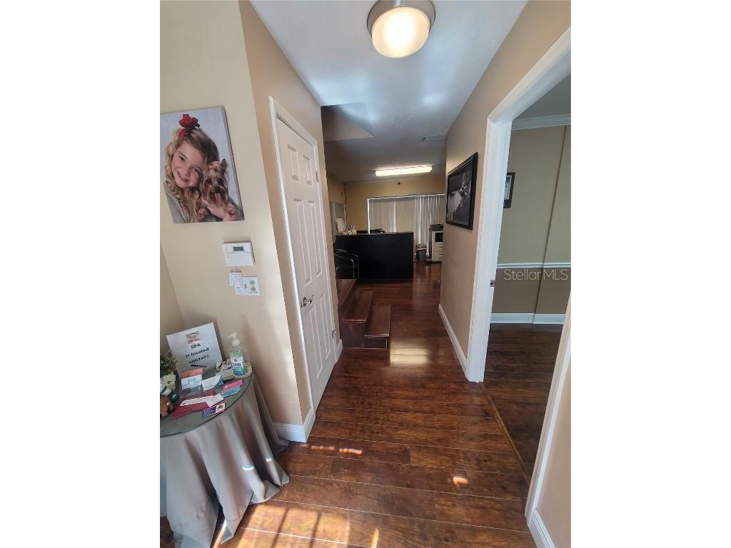 713 Lithia Pinecrest Road Brandon FL 33511 TB8444649 image15