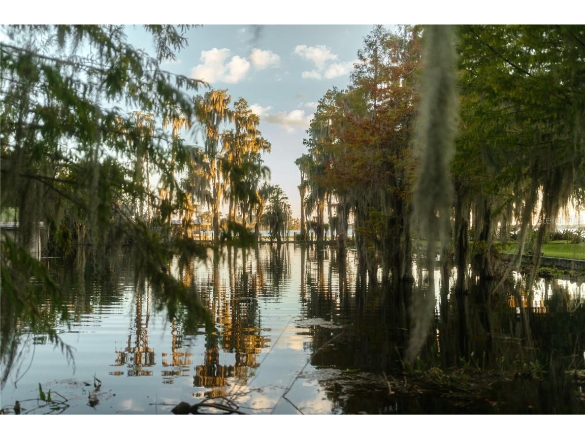 713 Main Street Windermere FL 34786 O6368185 image73