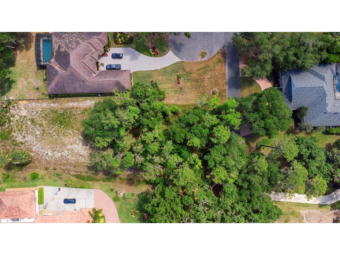 713 Newell Hill Road Leesburg FL 34748 - LAKE GRIFFIN O6297419 image8