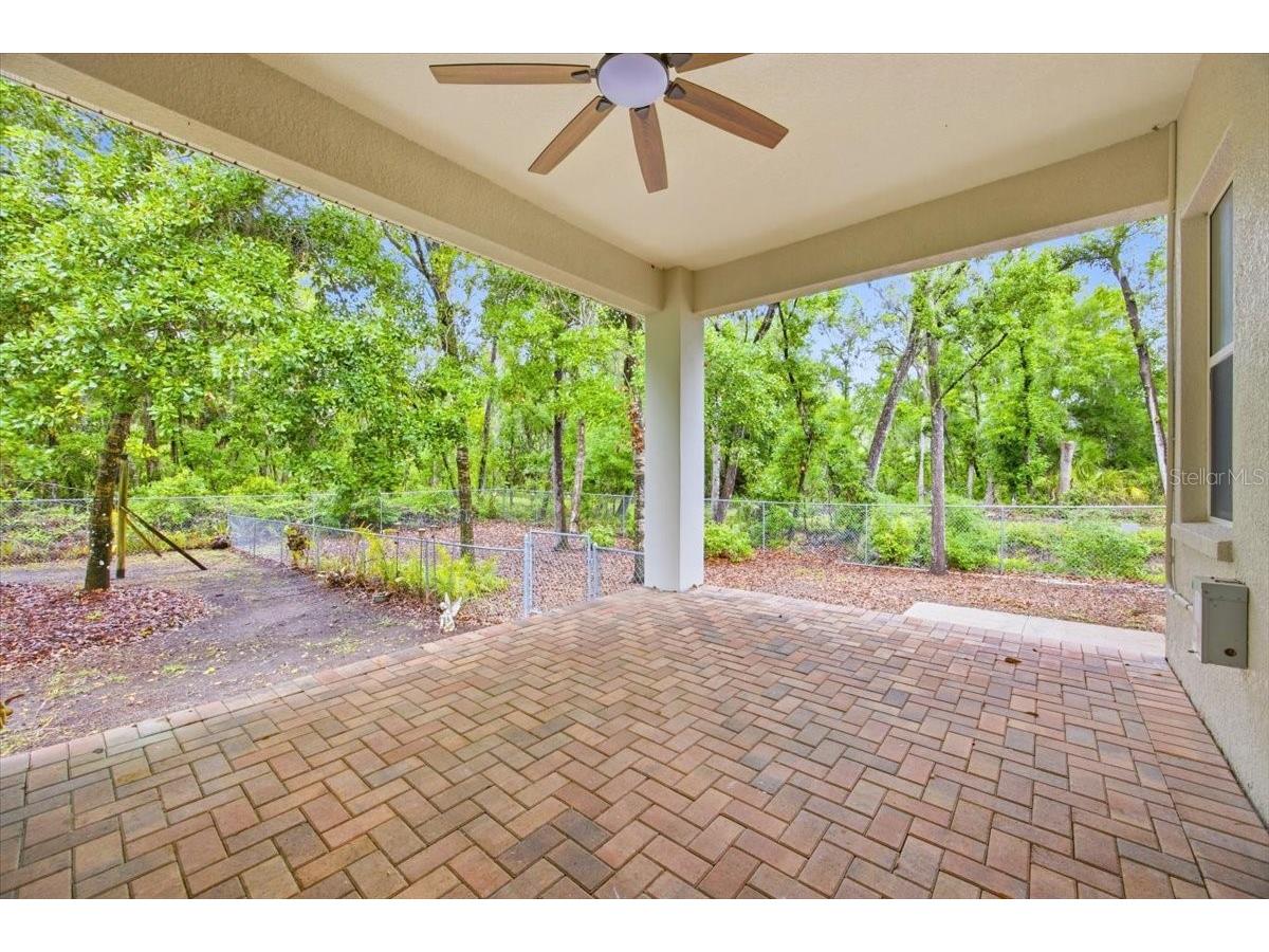 713 Whitehall St Plant City FL 33563 TB8495305 image31