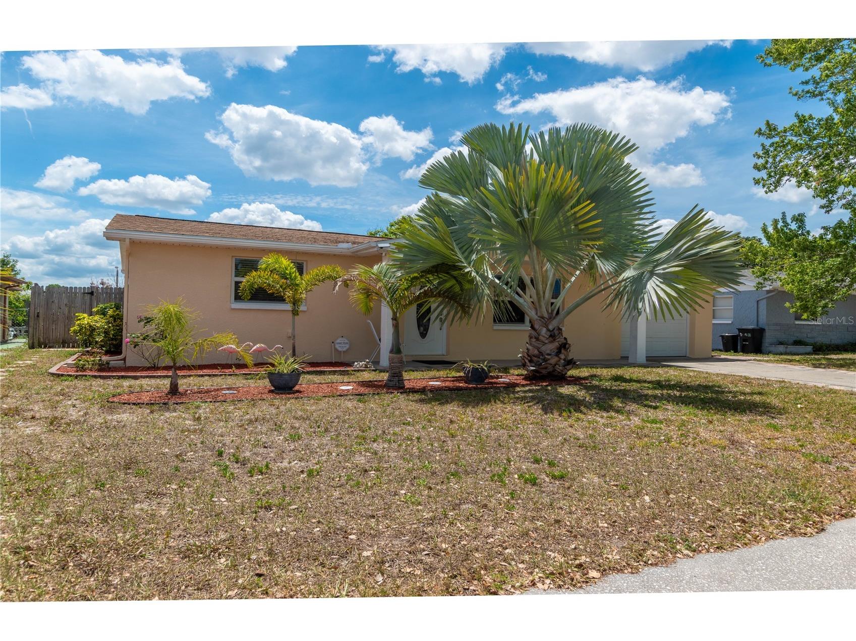 7130 Castanea Drive Port Richey FL 34668 TB8501983 image3