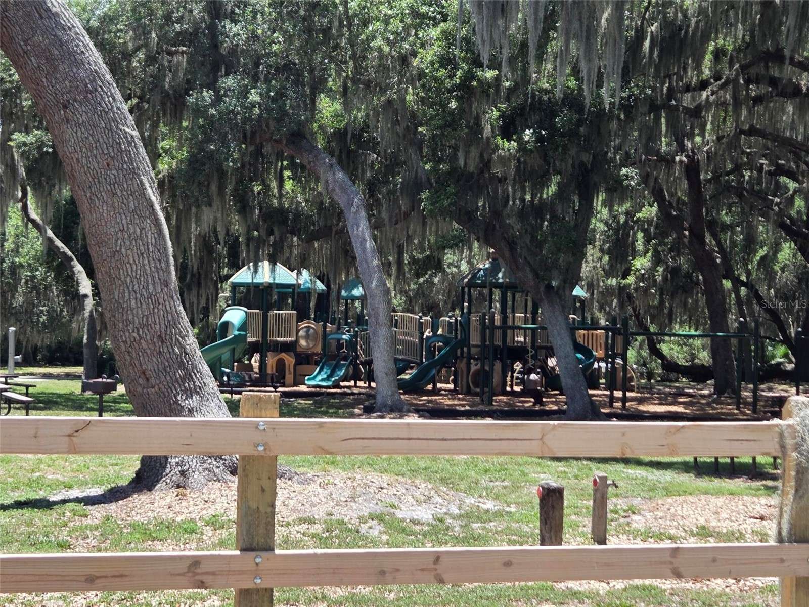 7130 Earlwood Avenue Mount Dora FL 32757 O6415924 image36
