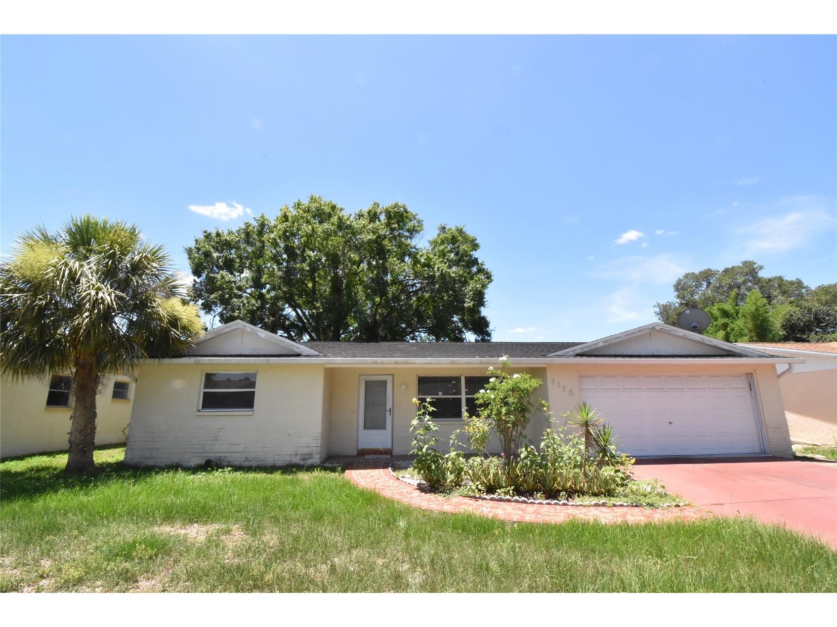 7130 Fireside Drive Port Richey FL 34668 C7527011 image1