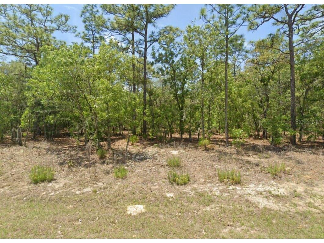 7130 N Glenridge Circle Citrus Springs FL 34434 GC525450 image1