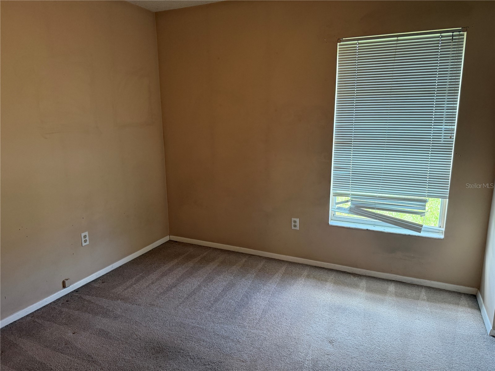 7131 Hollowell Drive Tampa FL 33634 TB8531006 image18