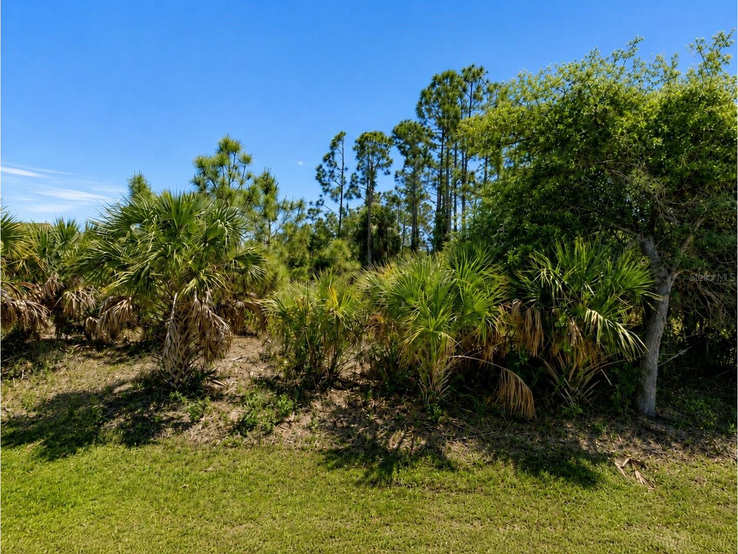 7132 Quarry Street Englewood FL 34224 TB8517106 image1