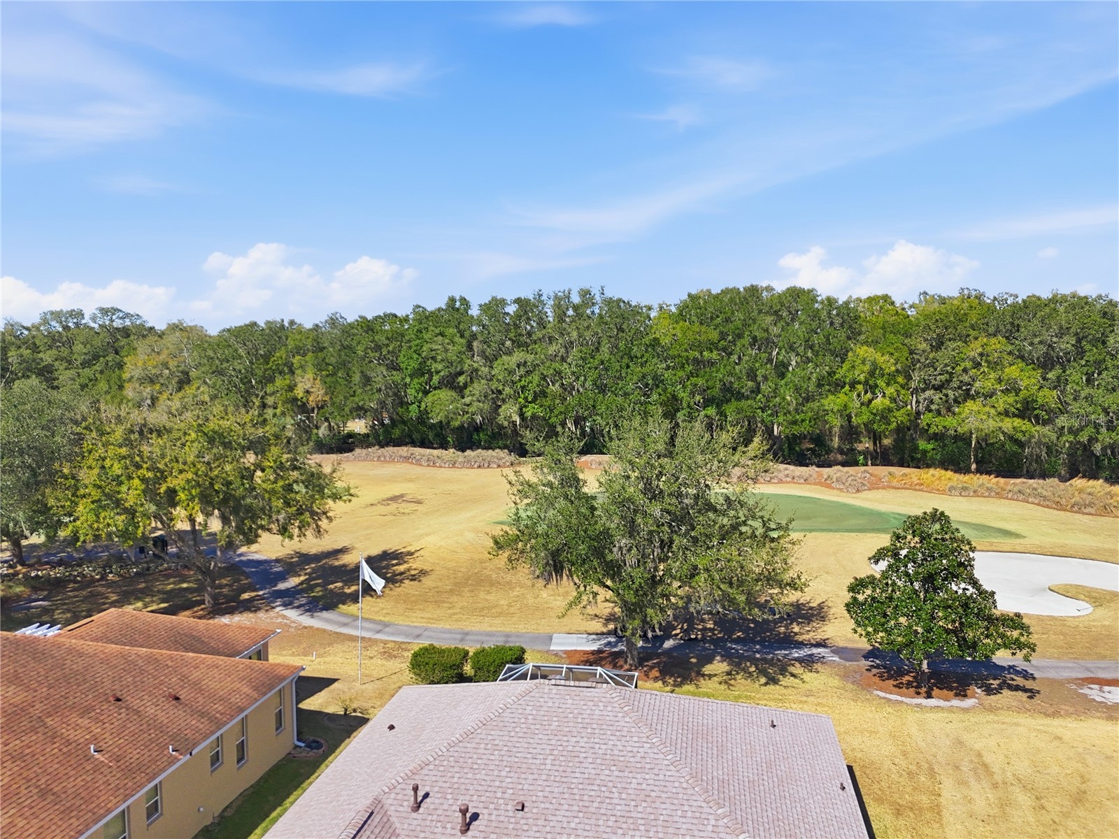7132 SE 172nd Hazelwood Loop The Villages FL 32162 G5108066 image6