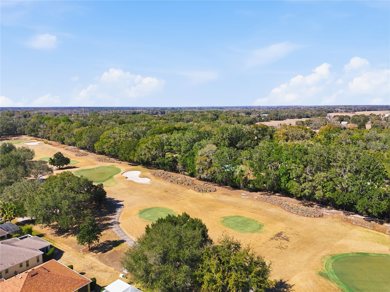 7132 SE 172nd Hazelwood Loop The Villages FL 32162 G5108066 image7