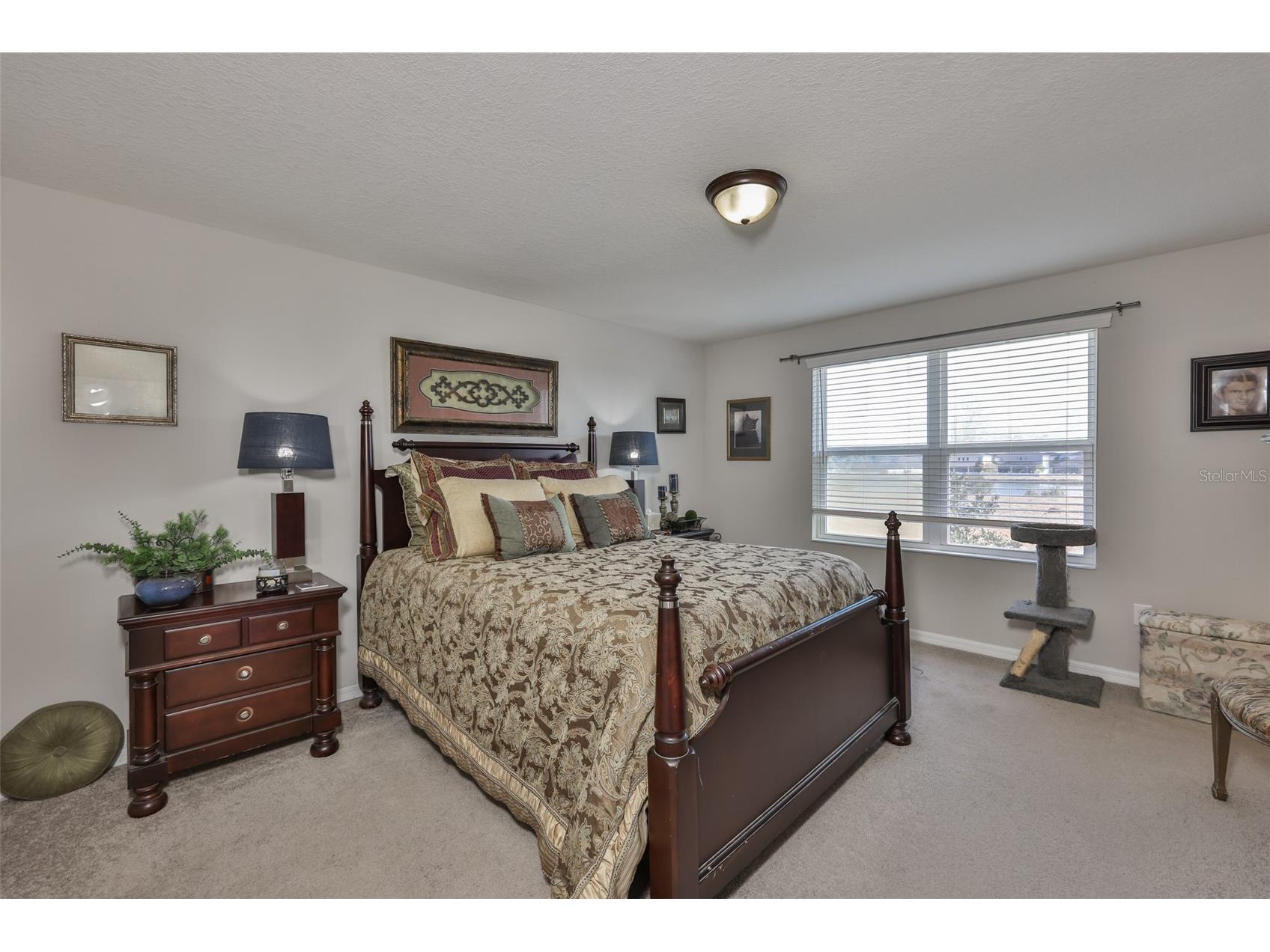 7134 Grand Elm Drive Riverview FL 33578 TB8462237 image27