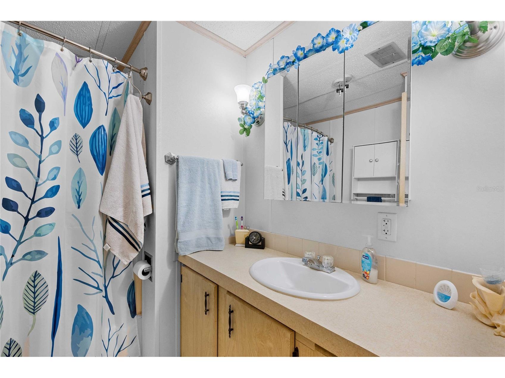 7135 El Dewitt Street Zephyrhills FL 33541 TB8493864 image20