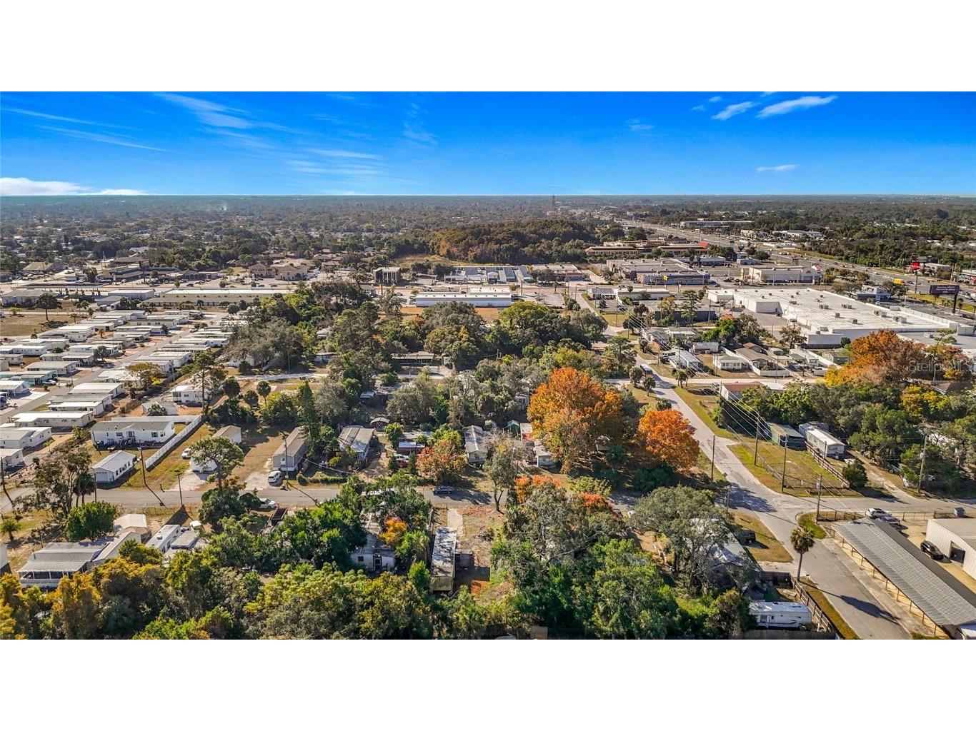 7135 Elizabeth Avenue Hudson FL 34667 TB8452165 image6