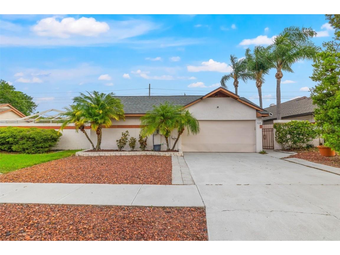 7135 Silvermill Drive Tampa FL 33635 U8205485 image1
