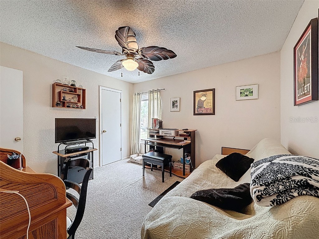 7135 Trenton Place New Port Richey FL 34653 W7876529 image24