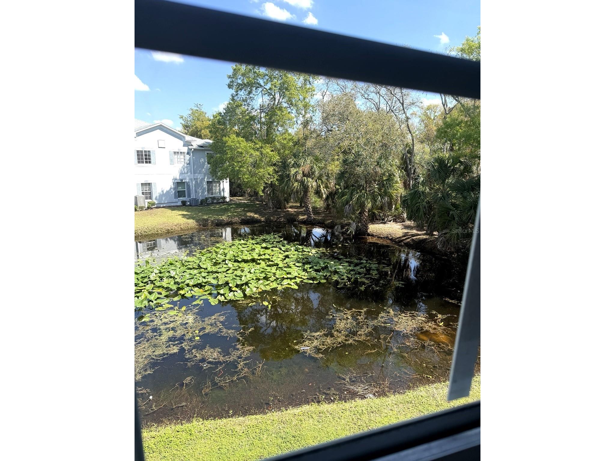 7135 Waterside Drive Tampa FL 33617 TB8483274 image12