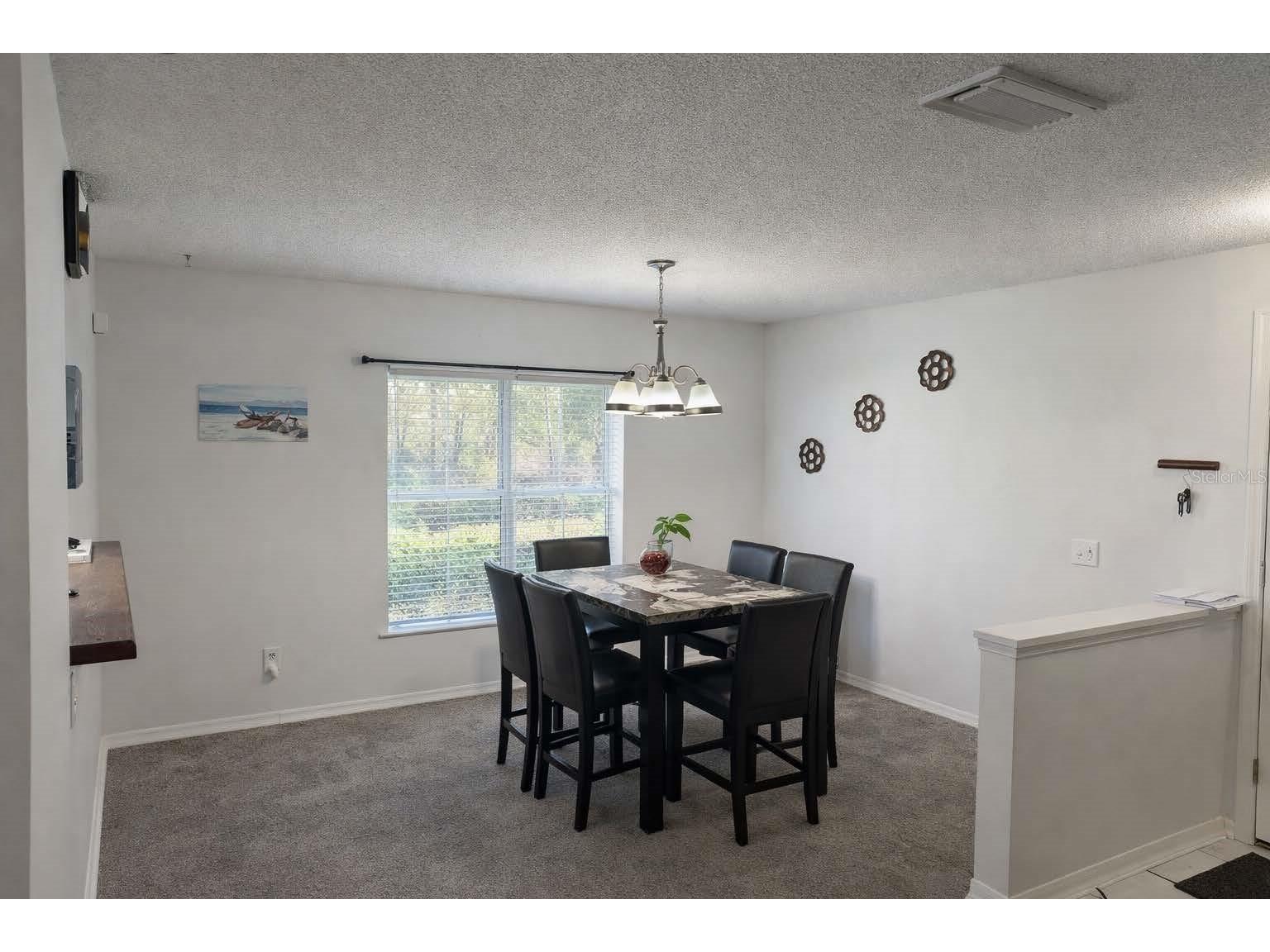 7135 Waterside Drive Tampa FL 33617 TB8483274 image4