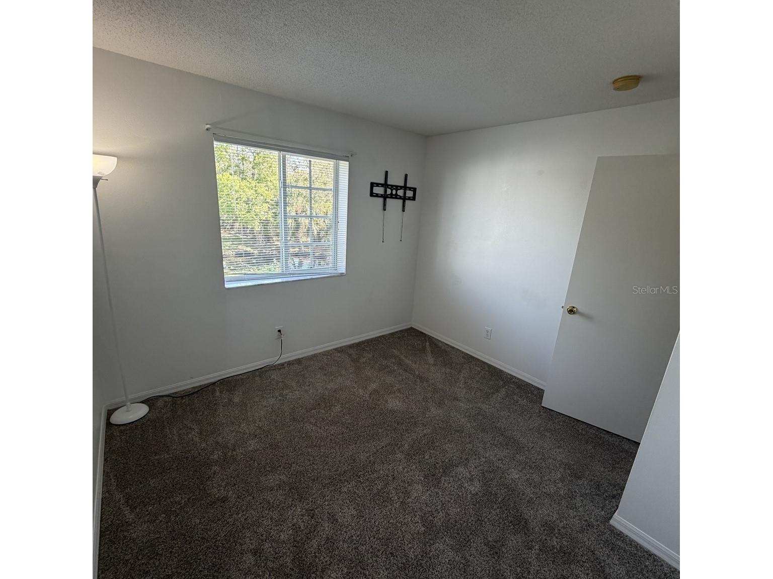 7135 Waterside Drive Tampa FL 33617 TB8483274 image8