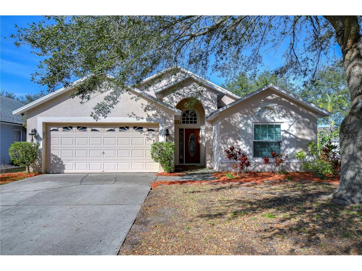 7136 Colony Pointe Drive Riverview FL 33578 TB8340243 image1