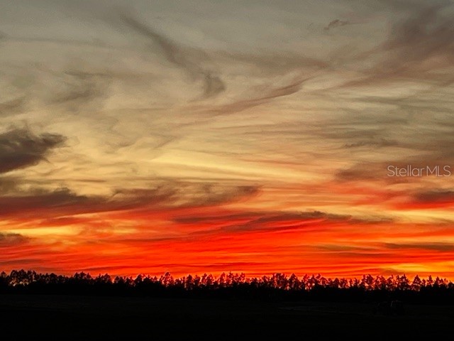 7136 SW 86th Avenue Ocala FL 34481 OM713143 image45