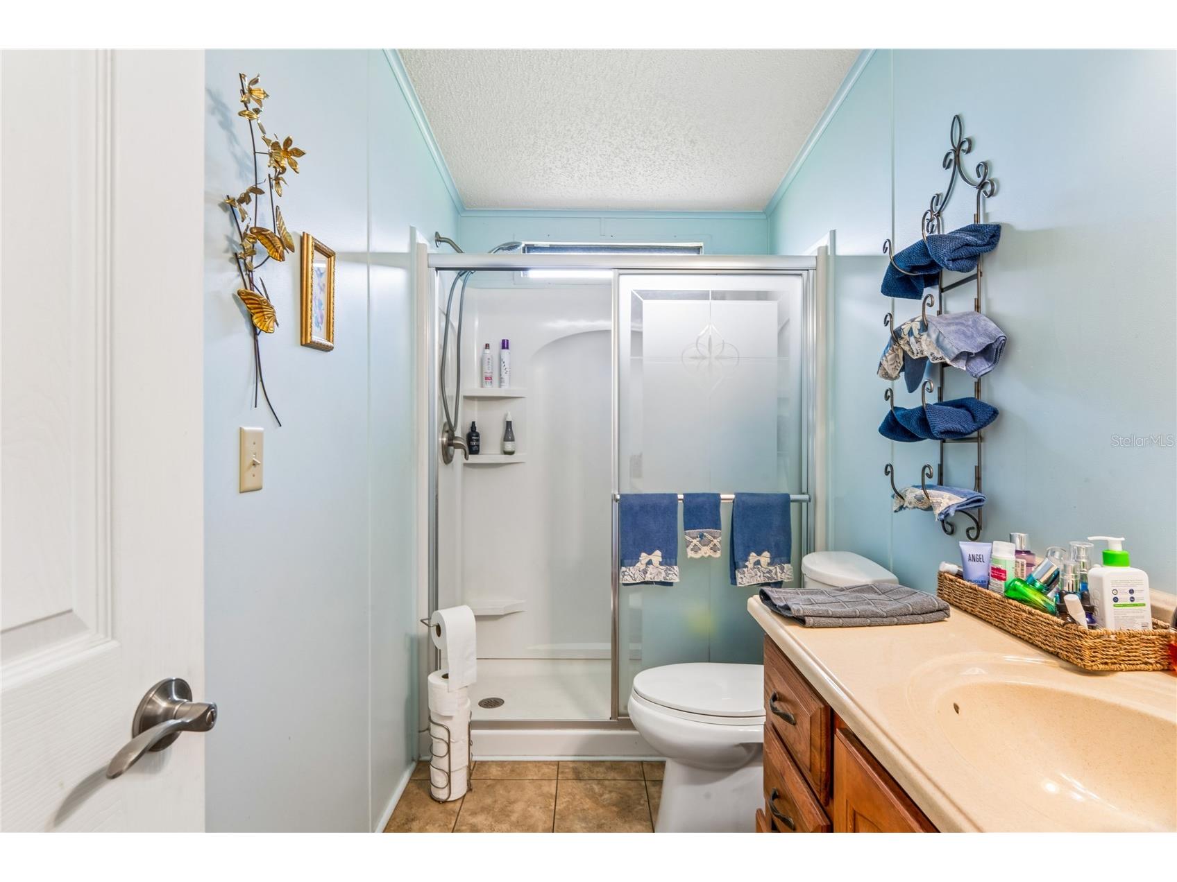 7136 Valor Street #325 Zephyrhills FL 33541 TB8509411 image21