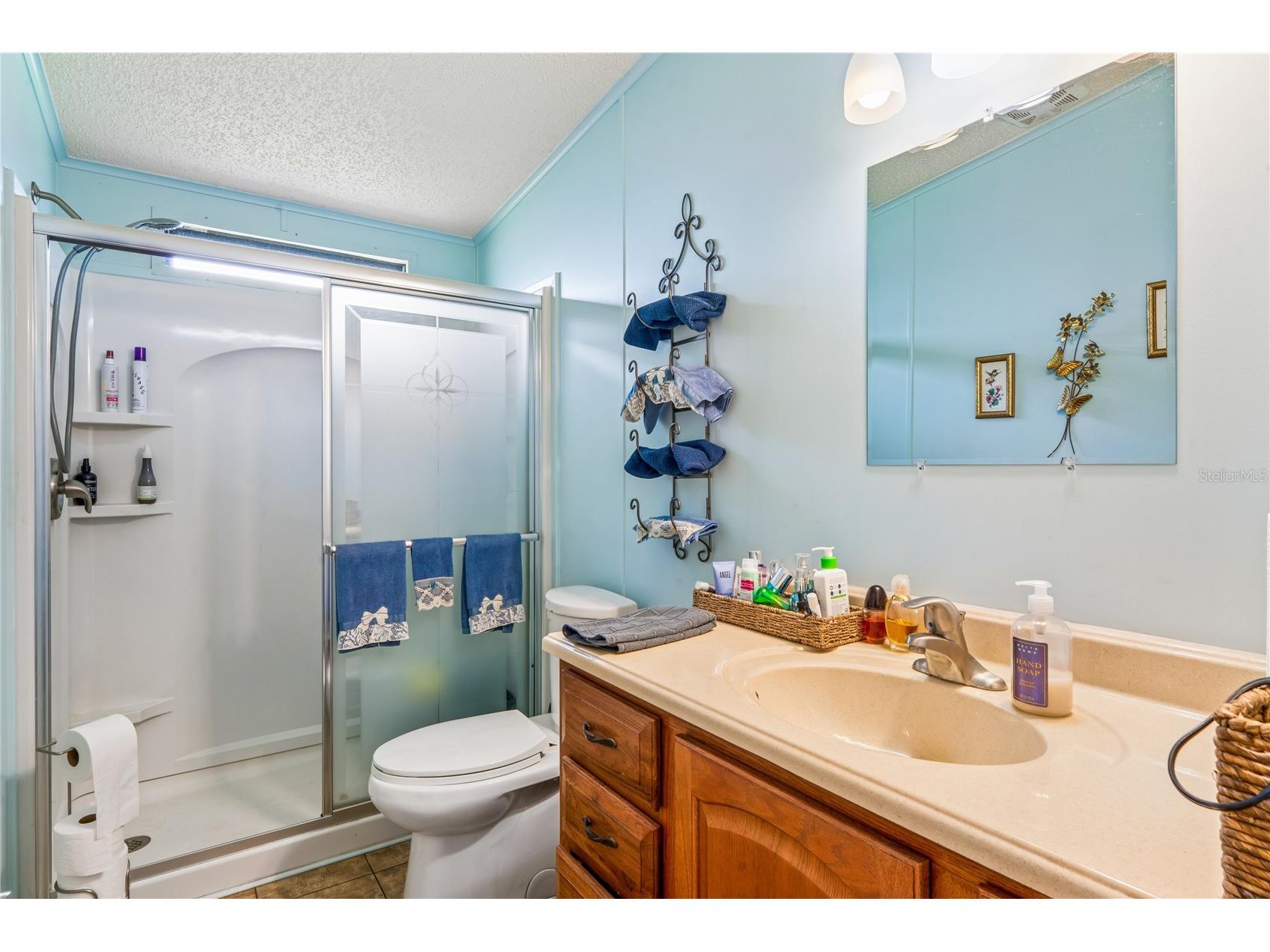 7136 Valor Street #325 Zephyrhills FL 33541 TB8509411 image26