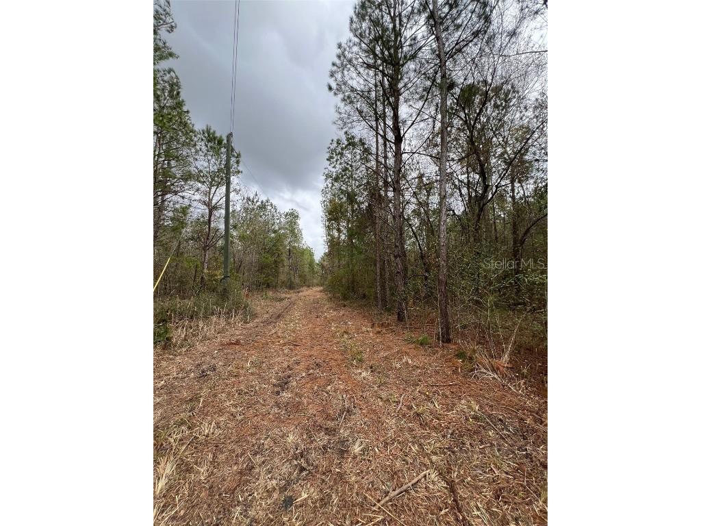 7136 Wiggins Road Live Oak FL 32060 U8233133 image1