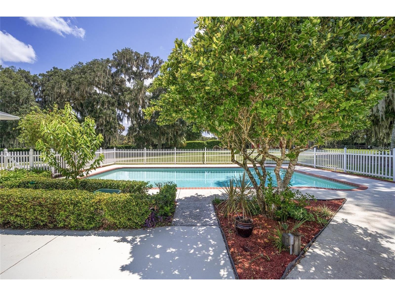 7137 & 7141 S Magnolia Avenue Ocala FL 34476 OM719407 image63