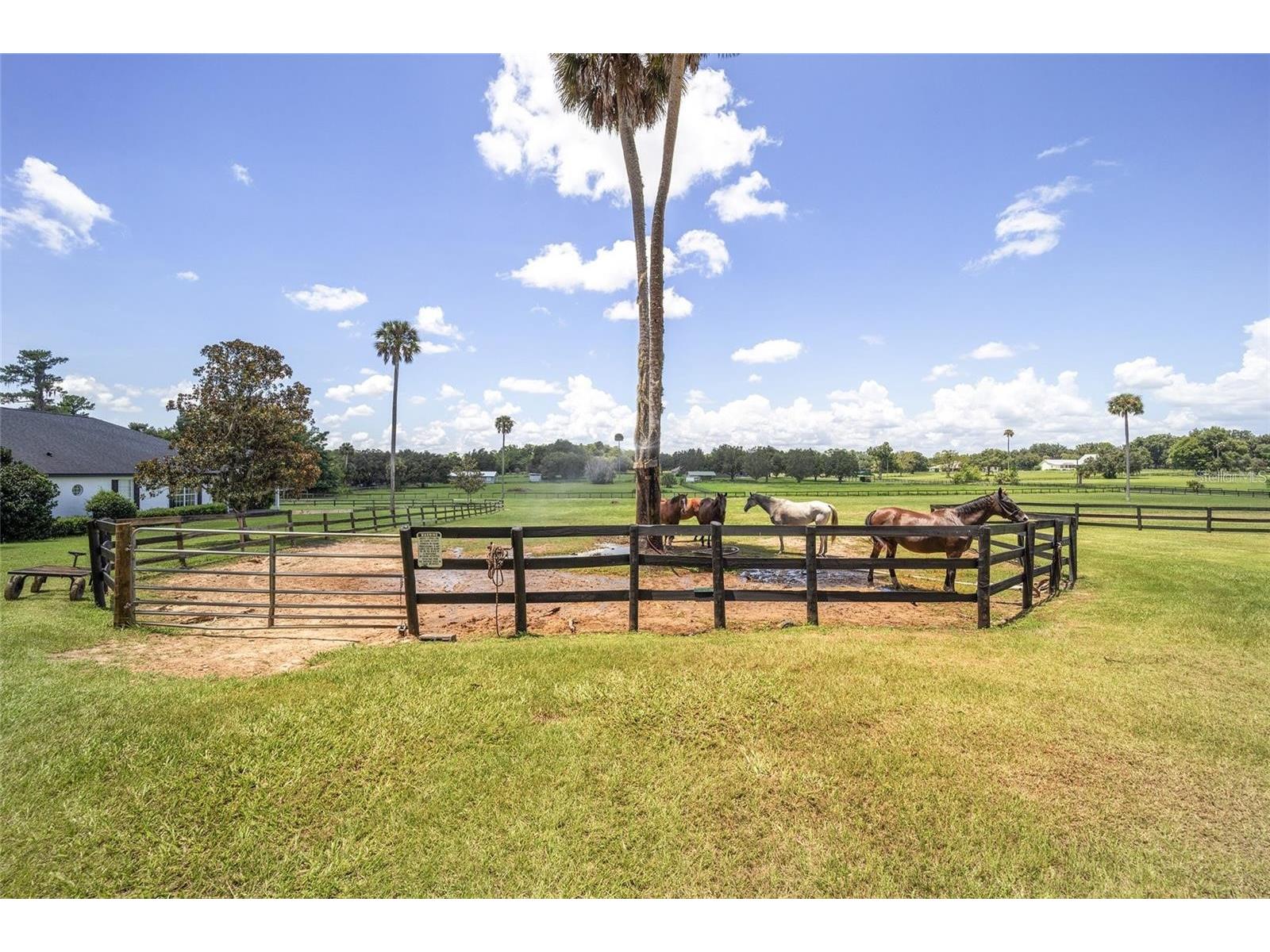 7137 & 7141 S Magnolia Avenue Ocala FL 34476 OM719407 image78