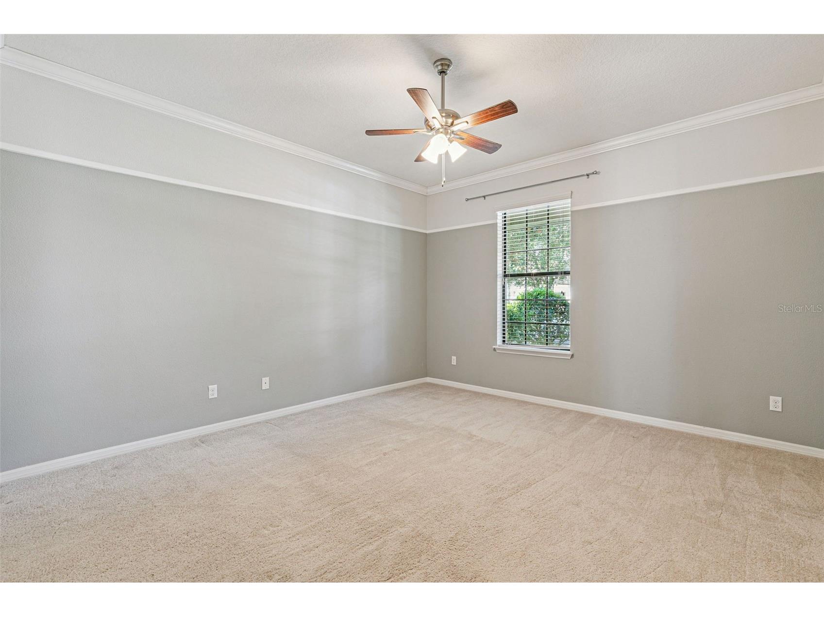 7137 Beek Street Windermere FL 34786 O6398814 image17