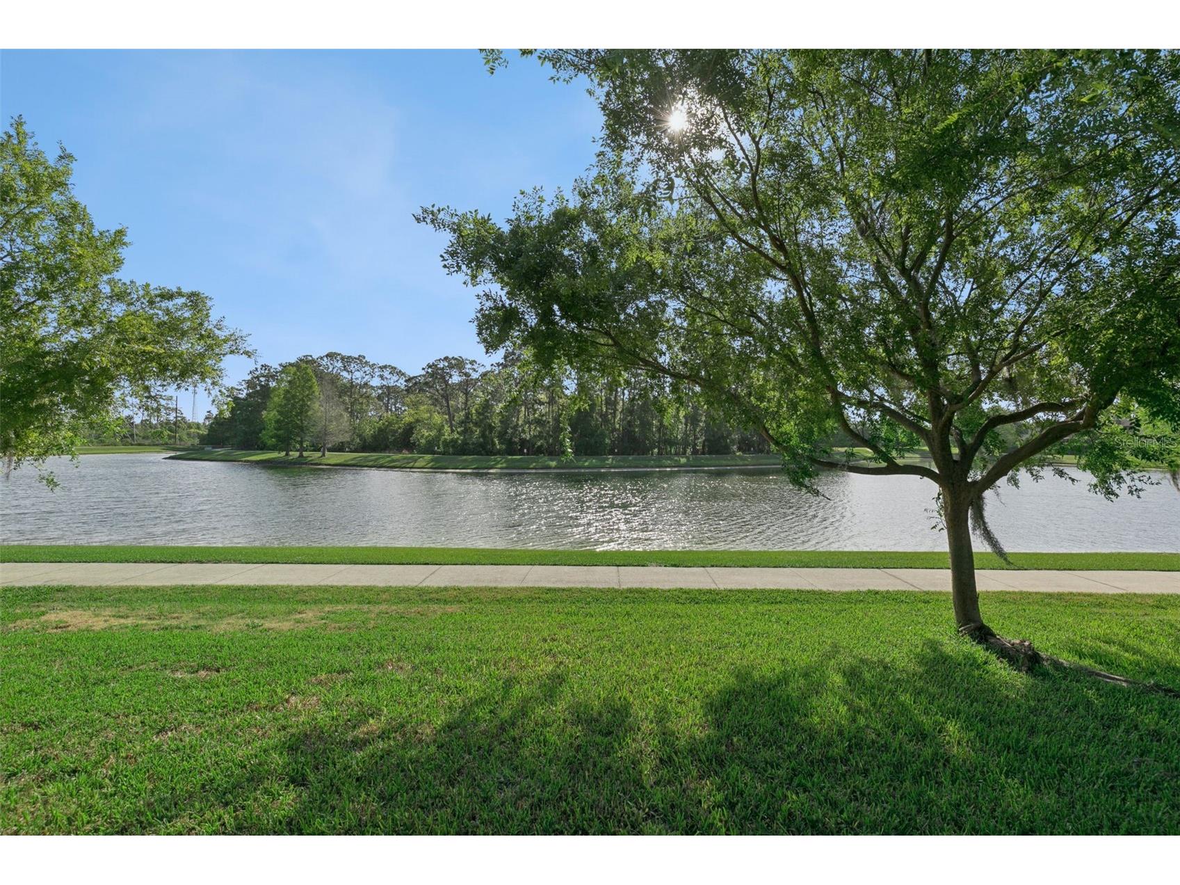 7137 Beek Street Windermere FL 34786 O6398814 image4