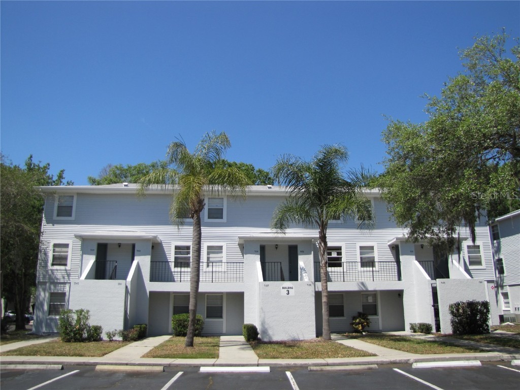 7137 E Bank Drive #7137 Tampa FL 33617 TB8431334 image2