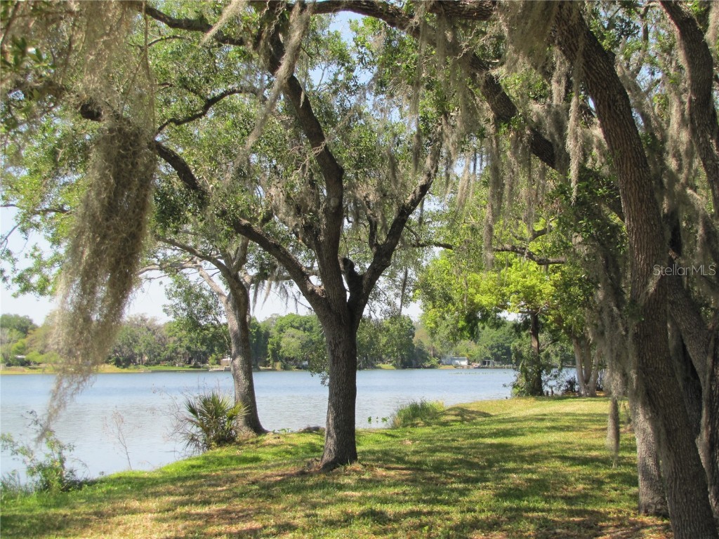 7137 E Bank Drive #7137 Tampa FL 33617 TB8431334 image8