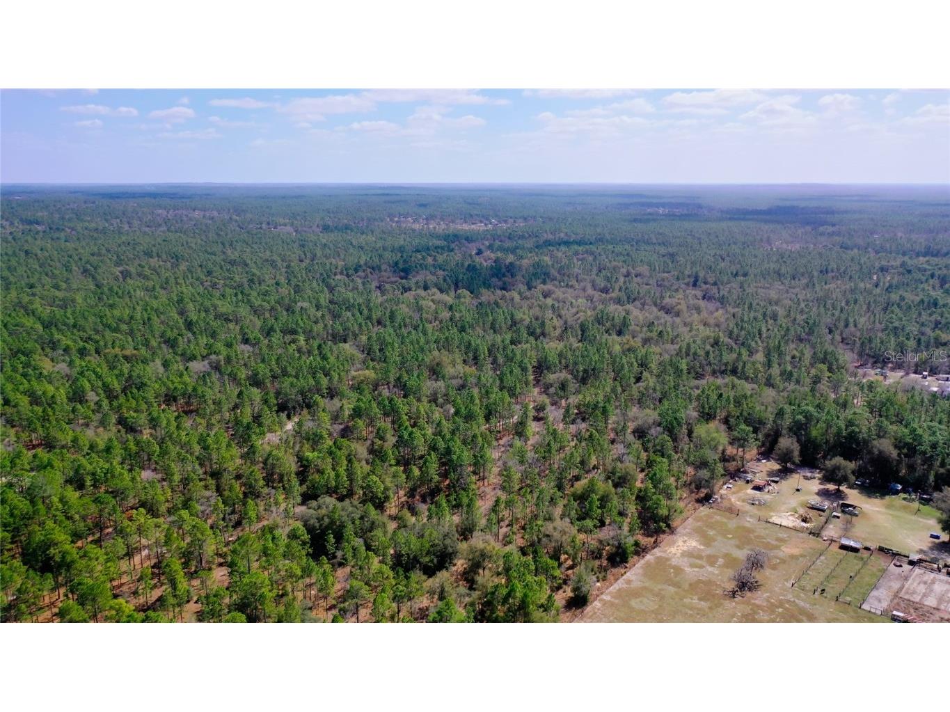 7137 W Sunmar Sample Lane Dunnellon FL 34433 TB8381410 image12