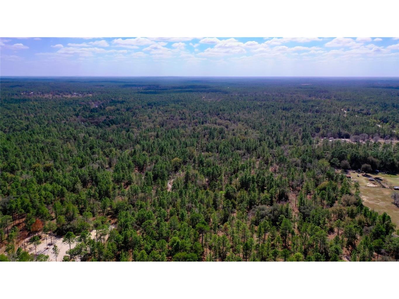 7137 W Sunmar Sample Lane Dunnellon FL 34433 TB8381410 image13