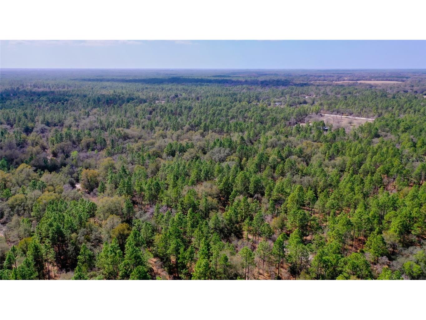 7137 W Sunmar Sample Lane Dunnellon FL 34433 TB8381410 image15