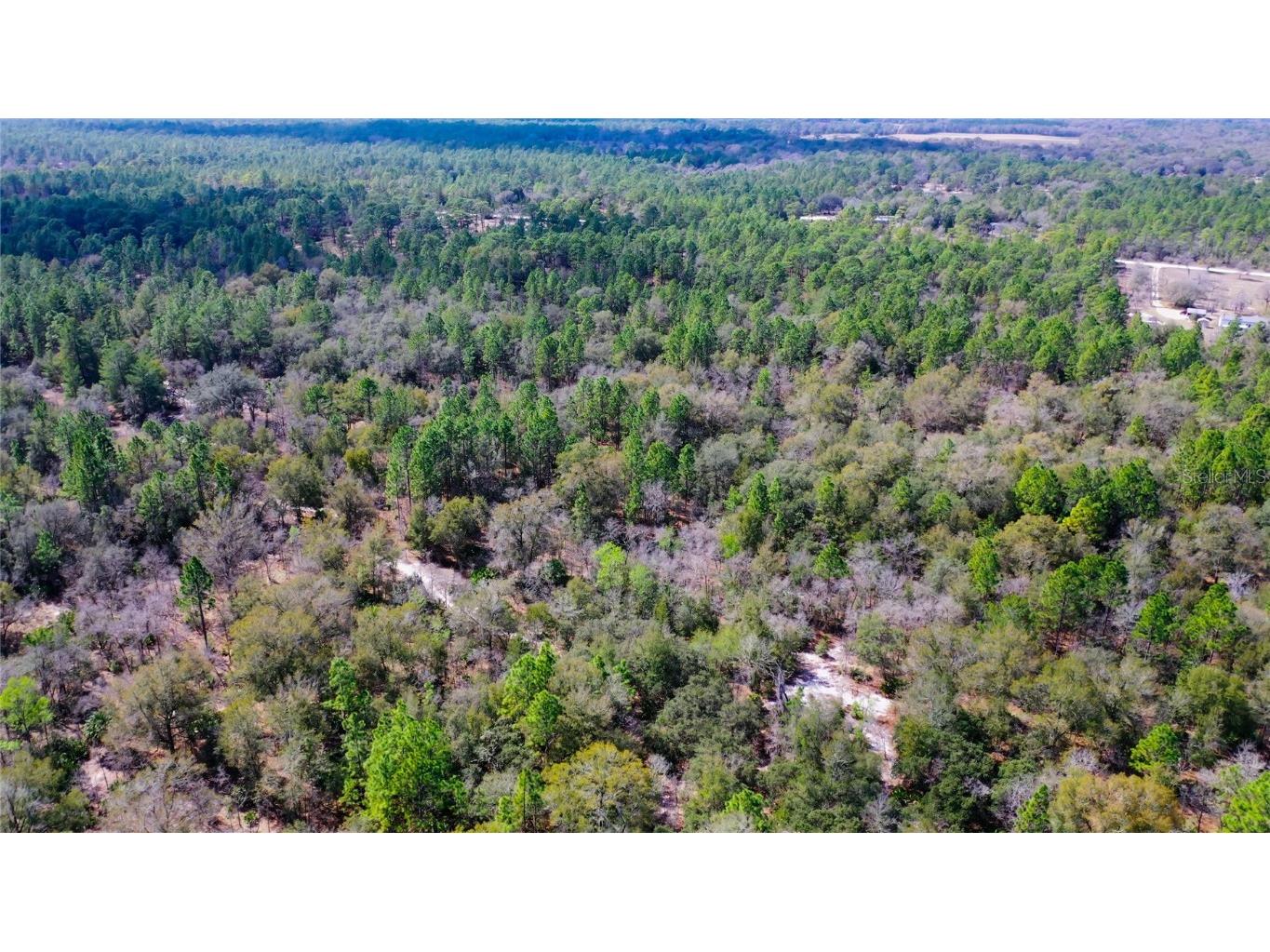 7137 W Sunmar Sample Lane Dunnellon FL 34433 TB8381410 image16