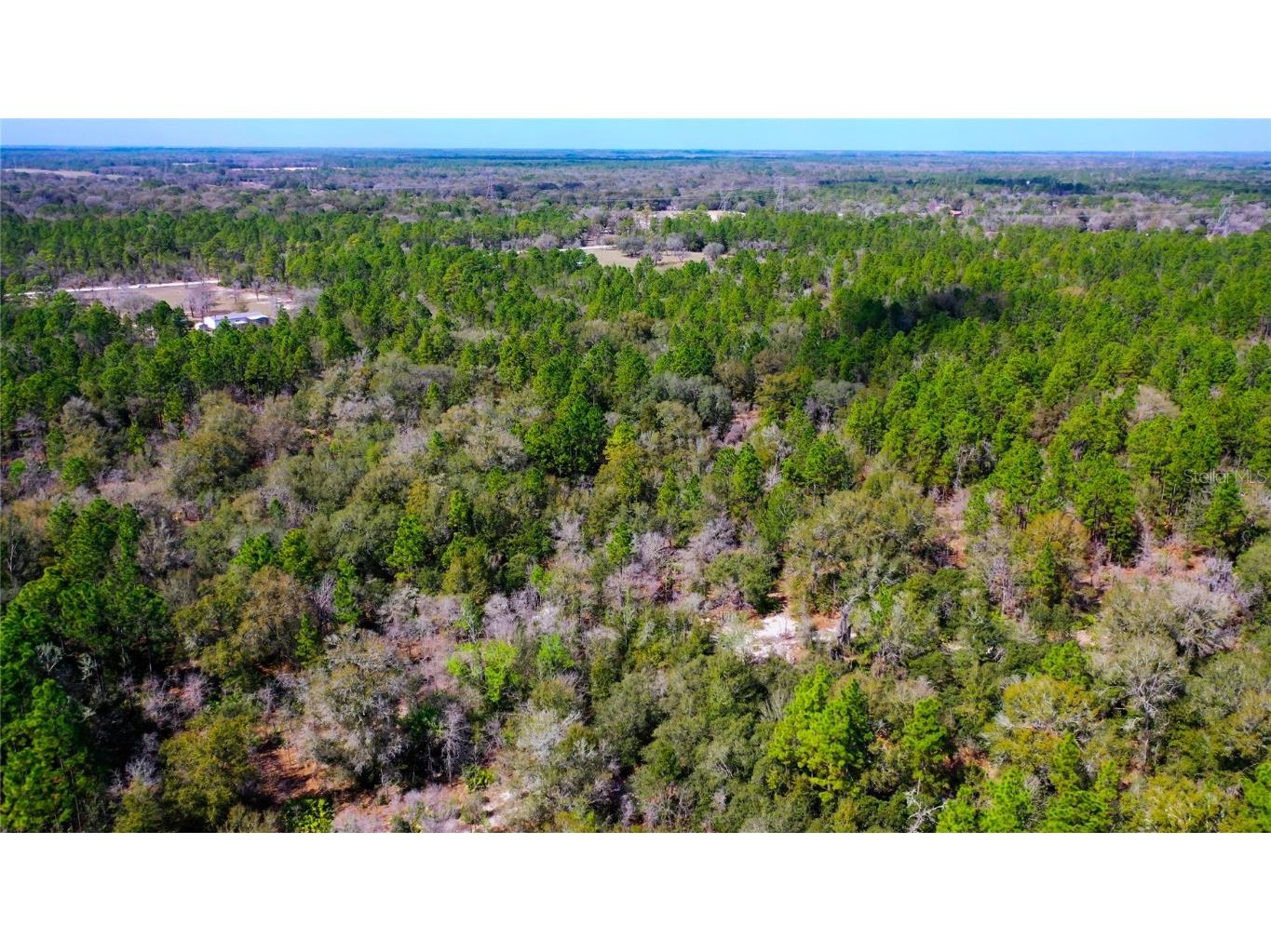 7137 W Sunmar Sample Lane Dunnellon FL 34433 TB8381410 image17